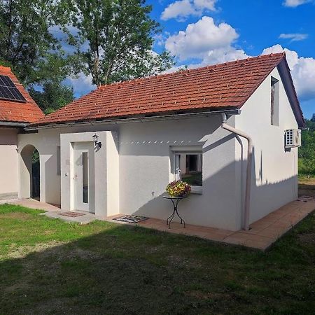 Villa Haus Yuphin Hart bei Graz Exterior foto